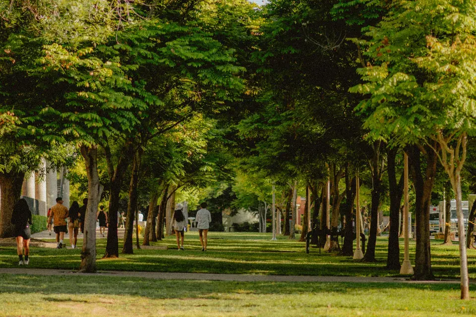 Local Roadside Expertise Across Clarington, ON, United States — Clarington, ON