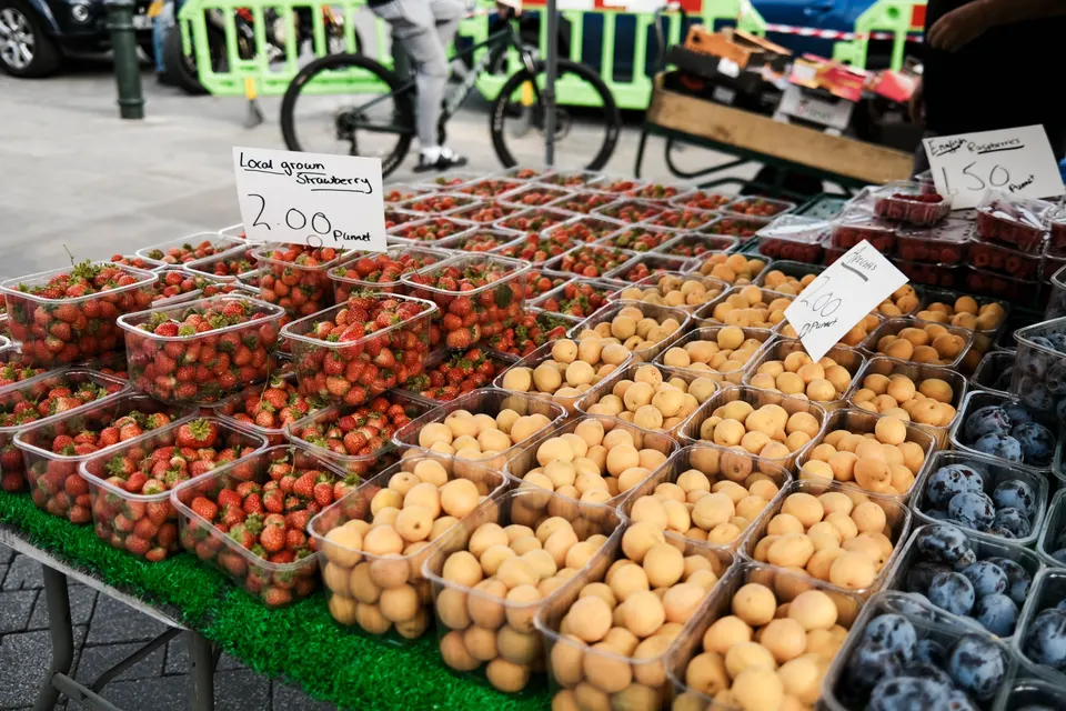 Local Roadside Expertise in Toronto, ON, United States — Toronto, ON